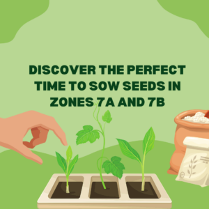 Illustration of a hand planting seedlings in a tray with text reading "Discover the Perfect Time to Sow Seeds in Zones 7a and 7b," surrounded by greenery and gardening tools.